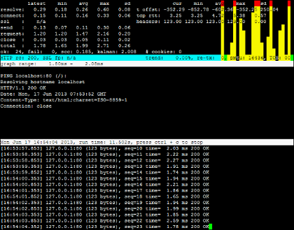 httping_1